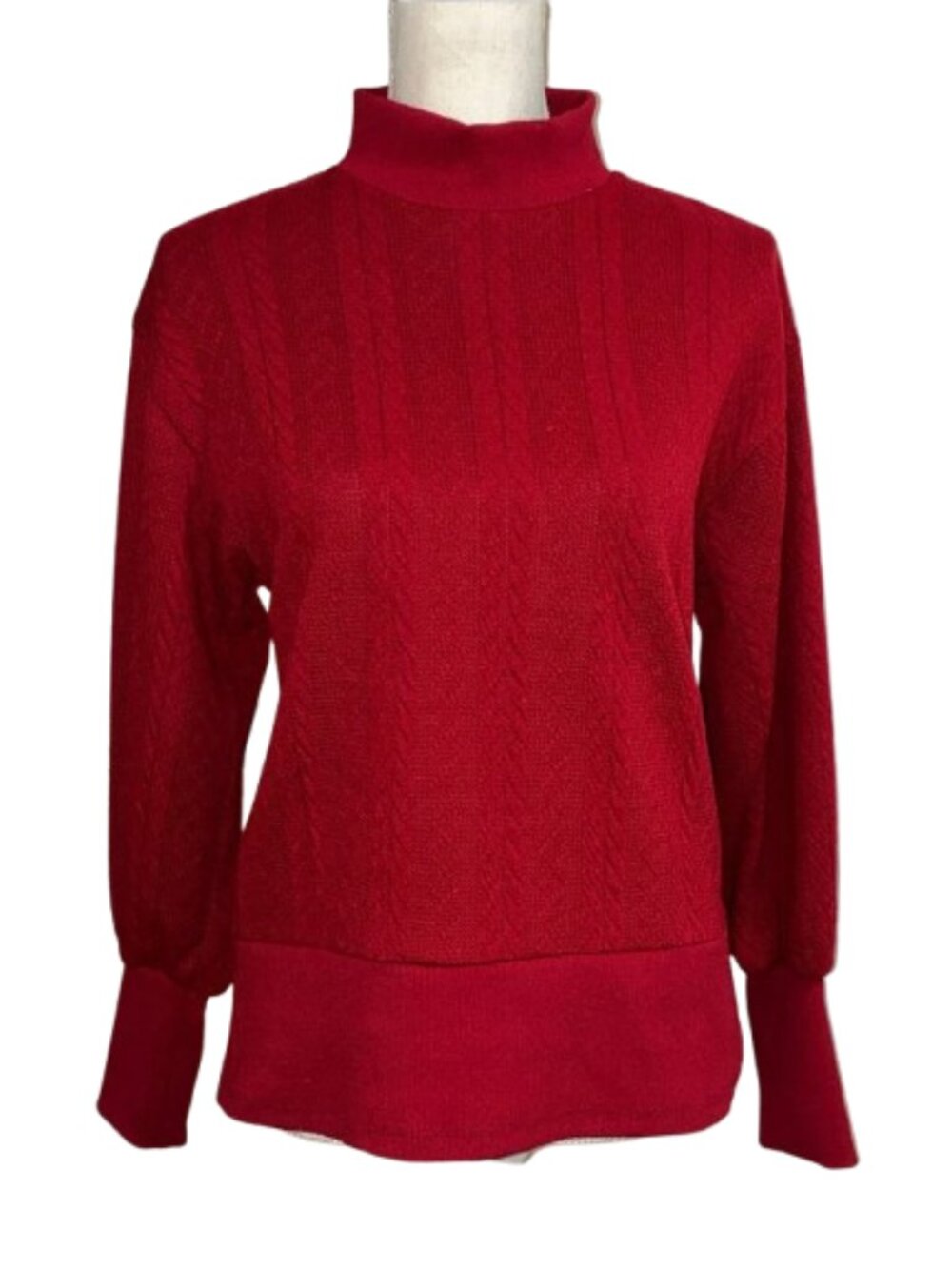 PARKER & QUINN Women Red Mock Turtleneck Sweater Classic Cozy Style Knit LS
